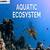 Aquatic Ecosystem - Types, Function & Defination
